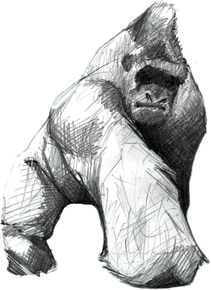 Gorilla Iconic Image
